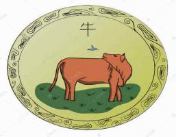 牛和猪的属相合不合 - 牛和猪婚配怎样