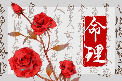 属猴1992剑锋金命详解 友情方面表现不顺