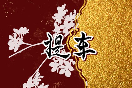 免费测提车吉日 2024年腊月生肖羊接新车什么日子最好