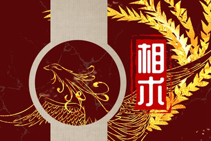 面相男人下巴尖 下巴尖忌讳什么