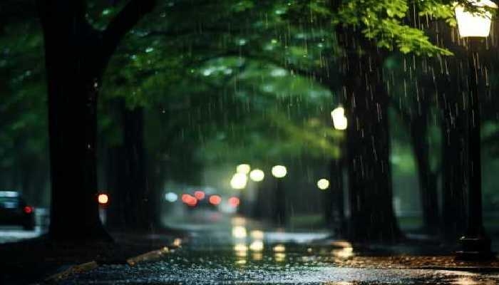 2024谷雨是农历几月几日 2024谷雨是农历的哪一天