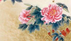 卜算子算命网
