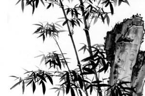 卜算子算命网