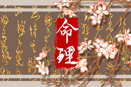 2024年龙年出生运势如何 事业运势解析