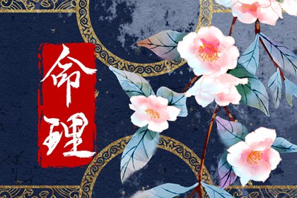 龙年出生几月命最好2024 农历4月福气满满