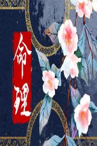 龙年出生几月命最好2024 农历4月福气满满