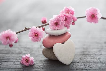 壬水日干的人一生运势如何