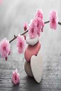 壬水日干的人一生运势如何