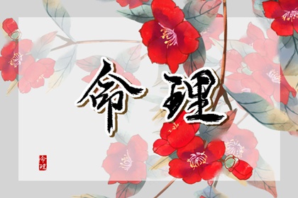 炉中火命的贵人是谁