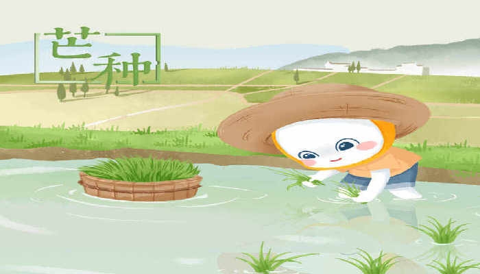 2024年6月5日是什么日子 每年6月5日是什么节日