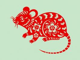 属狗女和属鼠男相配吗