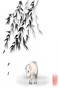 卜算子算命网