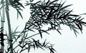数字能量学手机号解析 手机号码看性格事业财运
