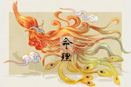 2024年全年最好八字 丙火之命运势尚佳