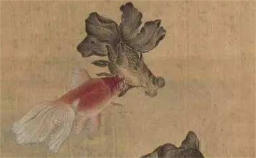 手机号能量从哪位数开始看 免费测手机号打分100分