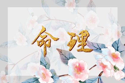 2024年适合结婚八字 庚子日柱女命