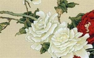 手机号码5559什么意思 手机尾号5558含义