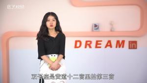 双子座是什么