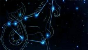 哪个星座能驾驭摩羯座