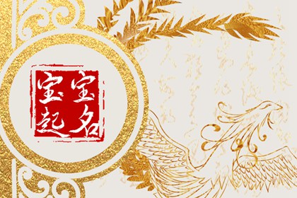 具有仕途的男孩名字 有官运男孩大气有涵养的名字
