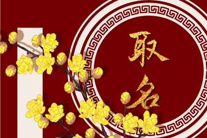 陈姓好听稀少的男孩名字2023 陈姓属兔男孩取名