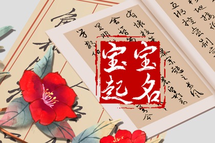 贾姓好听稀少的男孩名字 贾姓男宝宝名字大全2023属兔