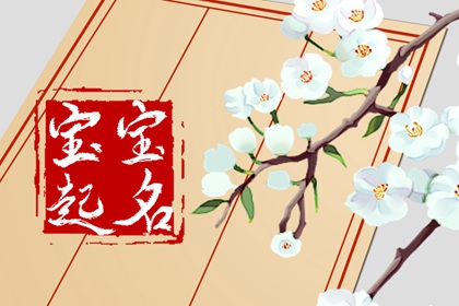 王姓男孩阳刚霸气名字 王姓男孩独一无二取名