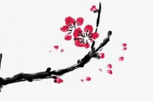 卜算子算命网