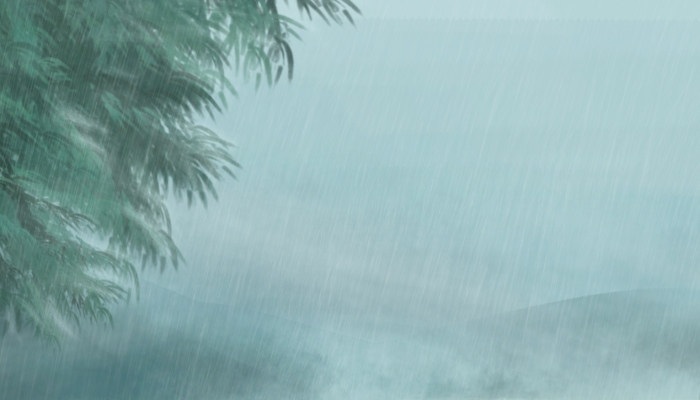 2024年雨水节气如何养生 雨水节气硬核养生方式