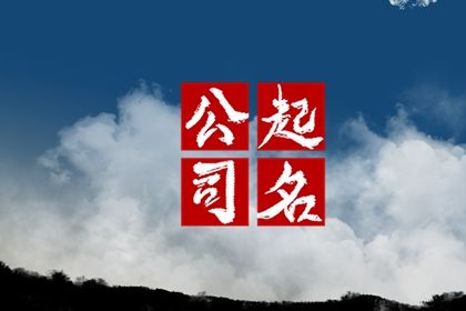 龙年宜取的投资公司名称