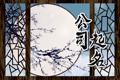 2024龙年顺风顺水的公司名字合集