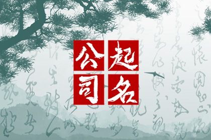 2024龙年新潮的计算机公司名字