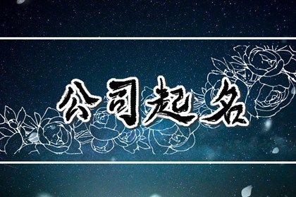2024龙年眼前一亮的创意家具店名