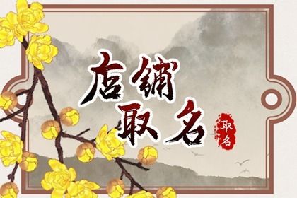 2024龙年过目不忘的酸辣粉店名