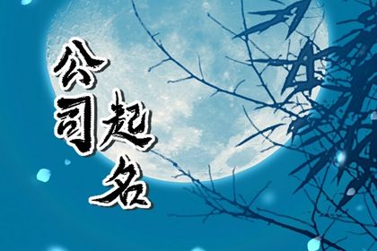 2024龙年有涵养的公司名字