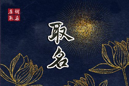 2024龙年最火的面馆名字