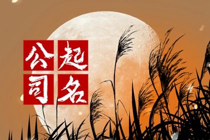 2024龙年专业接地气的音乐公司名字