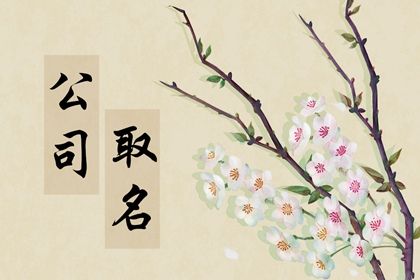 2024龙年建材公司如何取名有牌面