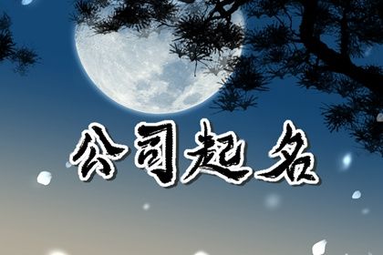 2024龙年有牌面的物流公司名字