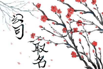 2024龙年有吸引力的金融公司名字