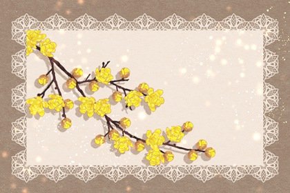 2024龙年有创意的宠物店名字