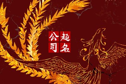 高端有格调的摄影公司名字合集