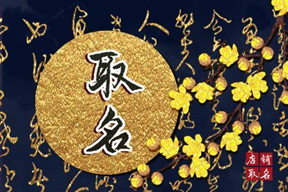 龙年别致独特的饰品店铺名字