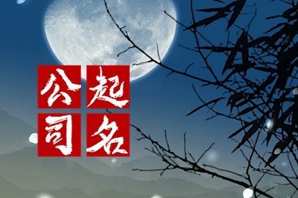 2024龙年大气有寓意的装修公司名字