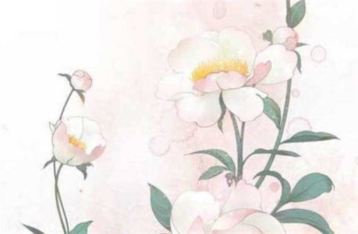 小孩排八字有什么讲究