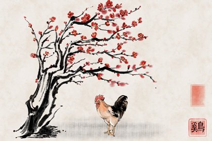庚子年出生女命运程好不好