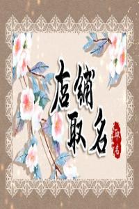 2024年有特色的女装店名字