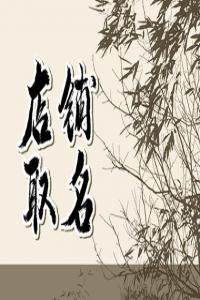 2024年优雅有情调的美容店铺名字