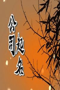 2024龙年高大上的企业名字大全