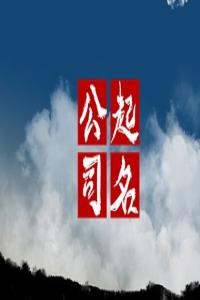 龙年开科技公司如何取名最旺